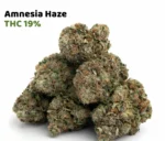 Amnesia Haze