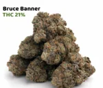 Bruce Banner