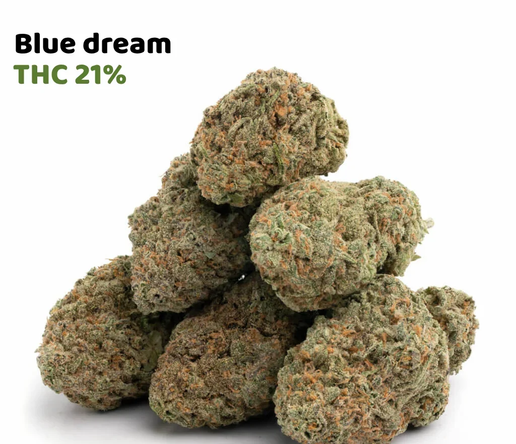 Blue dream Blue dream